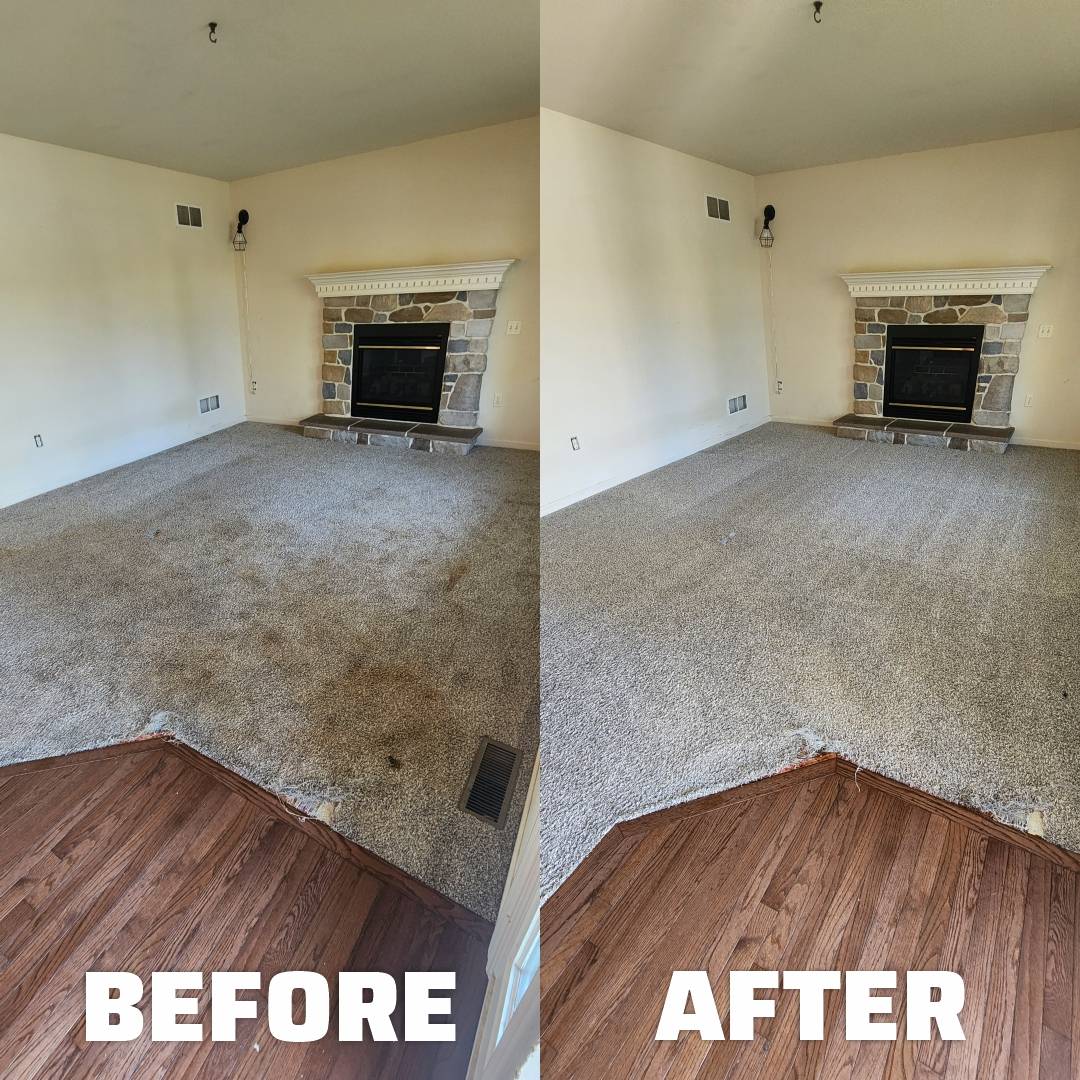 Before and After post carpet