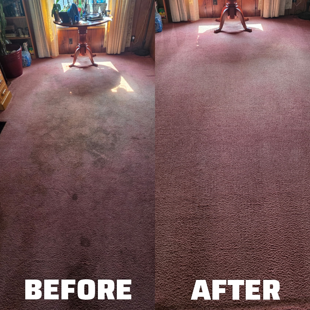 Before and after carpet july